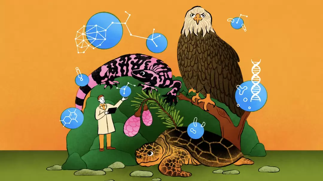 给癌症研发药物的人，如今开始给青蛙、海龟和森林设计新药