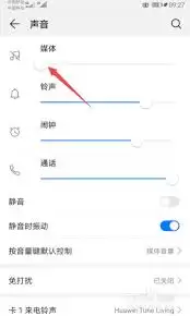 抖音视频没声音如何解决