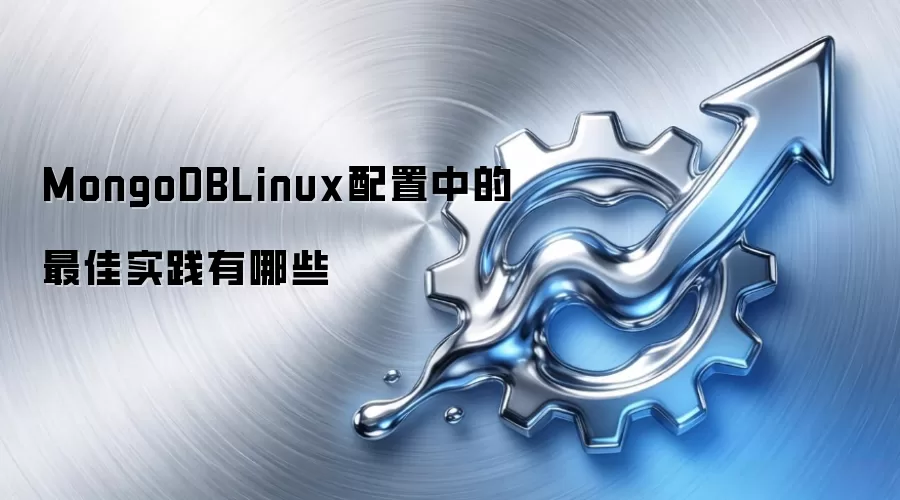 MongoDBLinux配置中的最佳实践有哪些