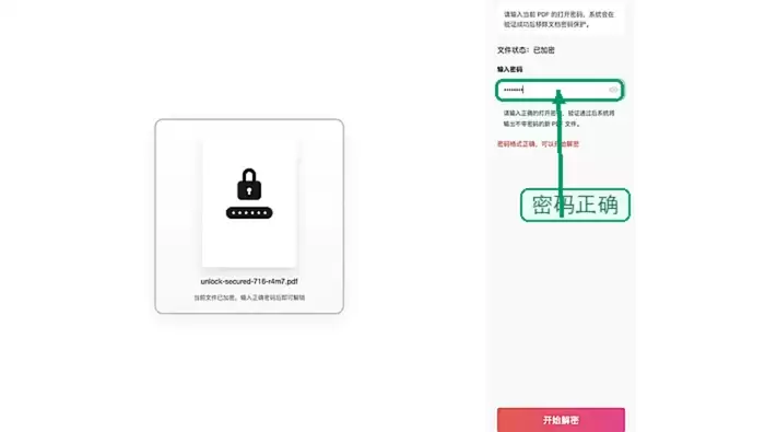 开始解锁PDF文件