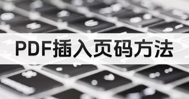 PDF添加页码办公场景配图