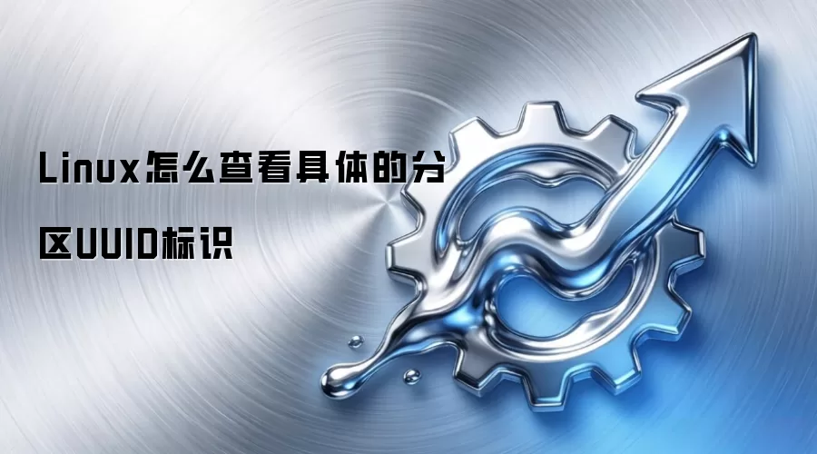 Linux怎么查看具体的分区UUID标识