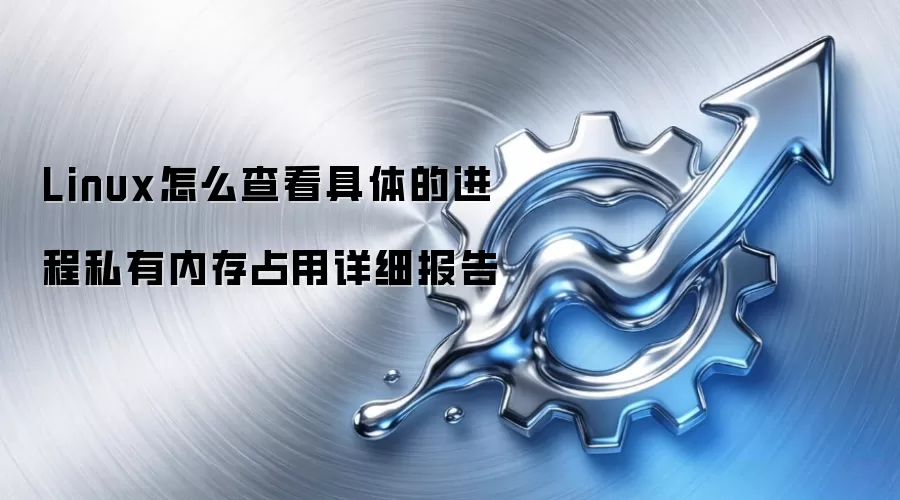 Linux怎么查看具体的进程私有内存占用详细报告