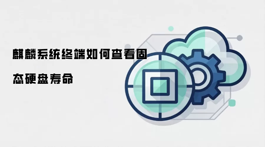 麒麟系统终端如何查看固态硬盘寿命