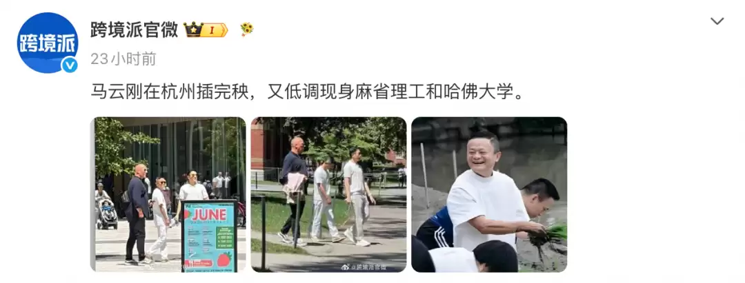 马云刚在杭州插完秧，又低调现身麻省理工和哈佛大学