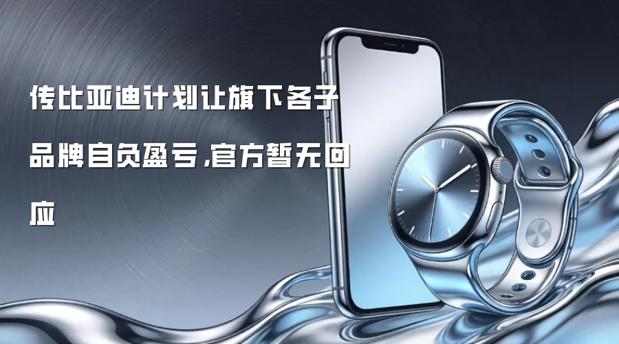 传比亚迪计划让旗下各子品牌自负盈亏，官方暂无回应