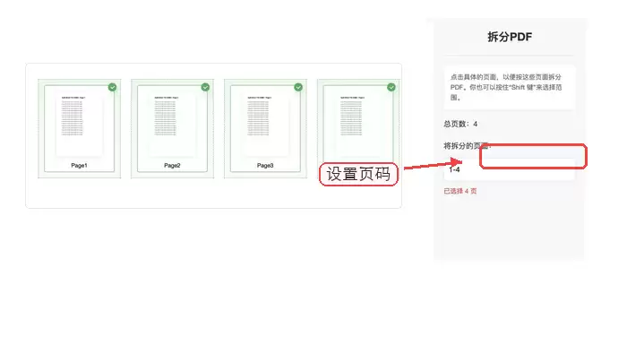 开始处理PDF文件