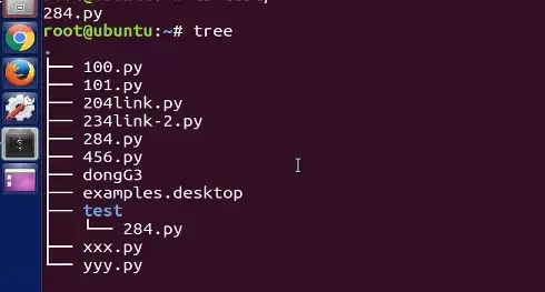 Ubuntu终端中执行pwd和ls命令查看当前目录内容