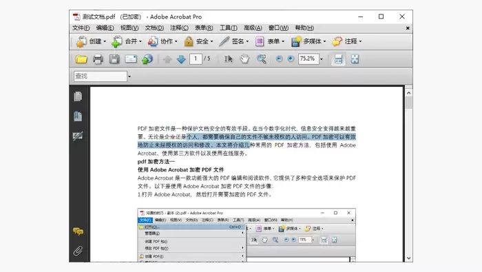 Adobe Acrobat Pro修改pdf图2