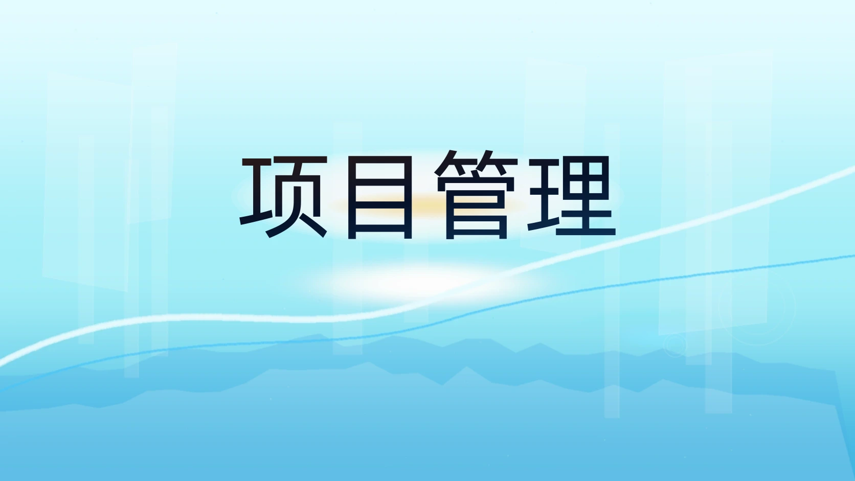 项目管理