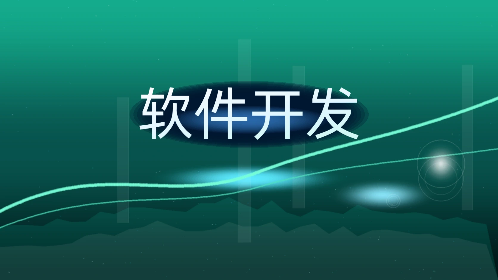 软件开发