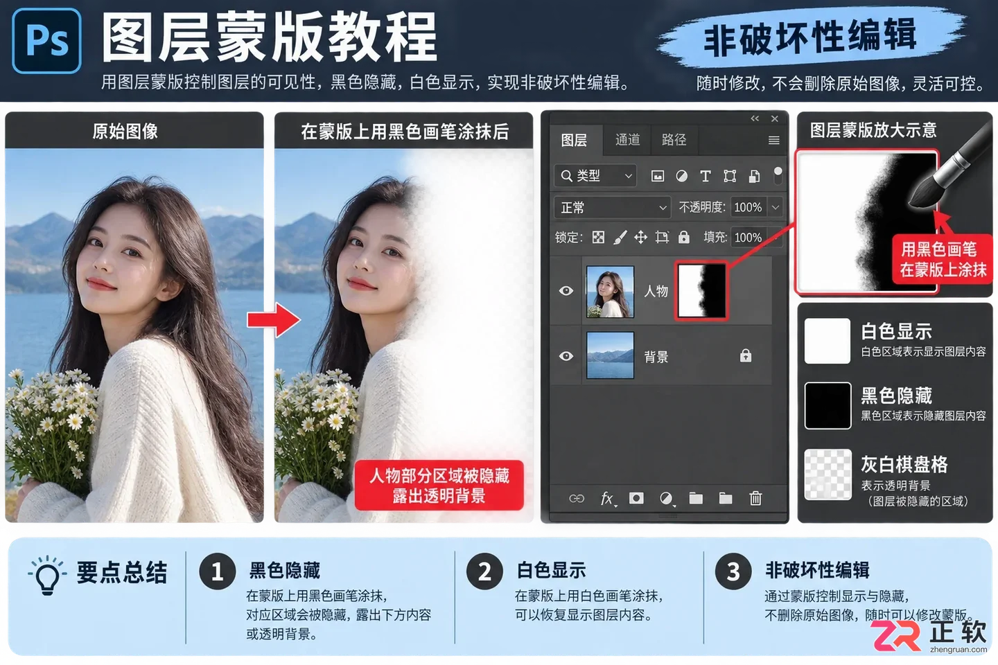 图层右侧的白色蒙版缩略图,配合画笔工具进行隐藏与显示