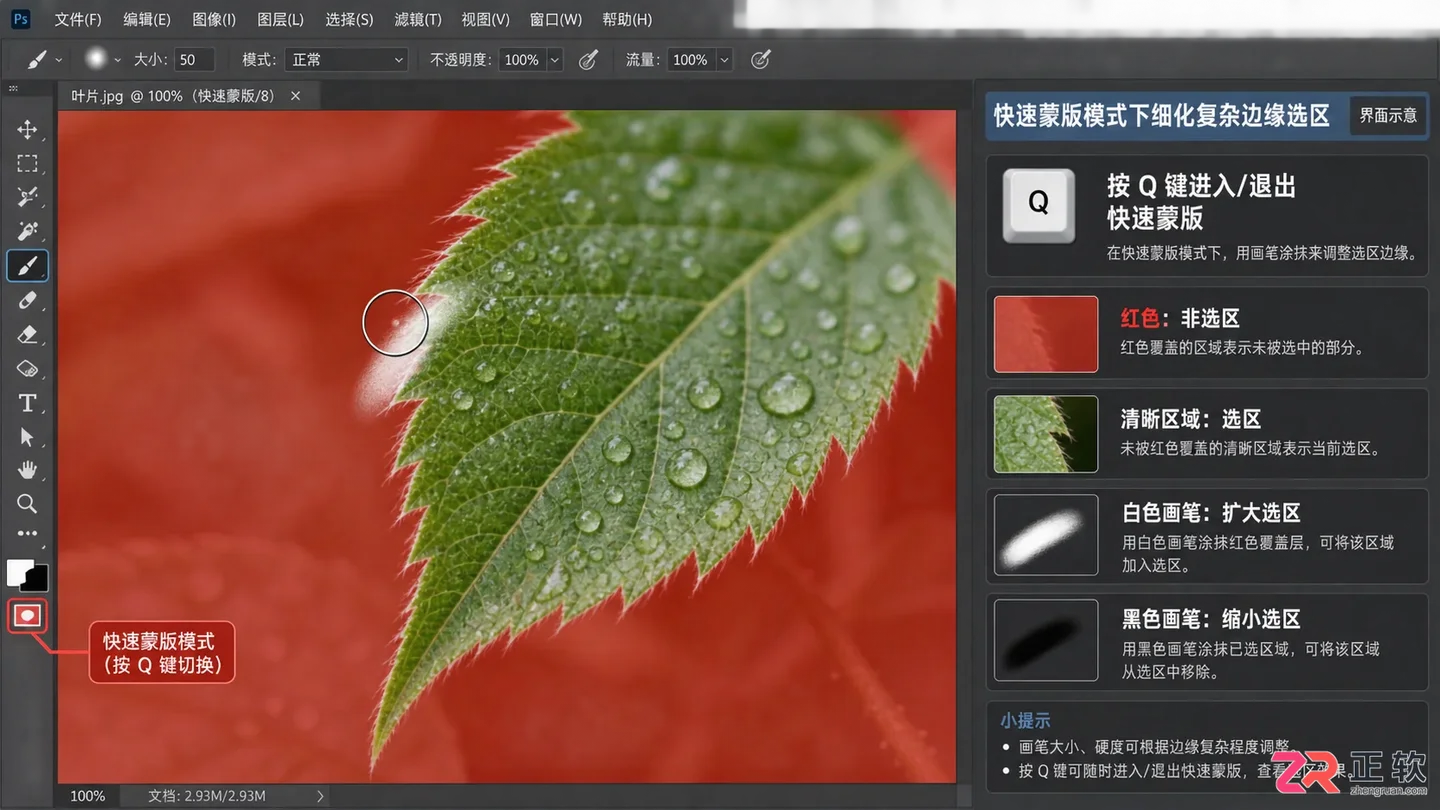 Photoshop蒙版快捷键是什么?图层、快速与剪贴蒙版用法