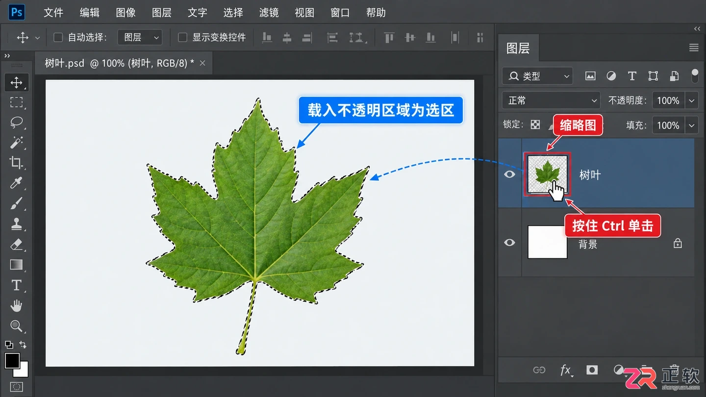 Photoshop选区快捷键有哪些？PS选区操作快捷键汇总