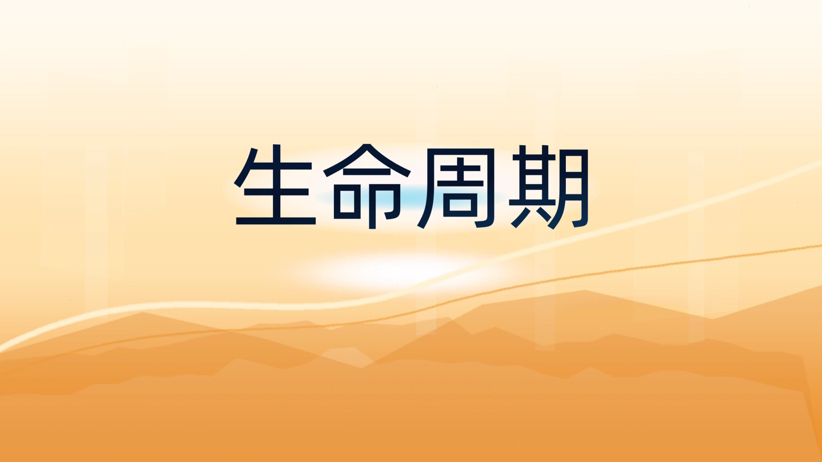 生命周期