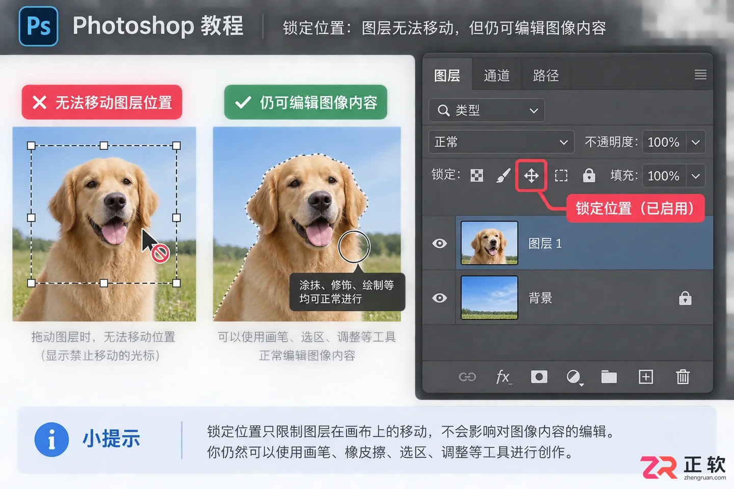 Photoshop图层锁定怎么解除?无法编辑和点击没反应的解决方法