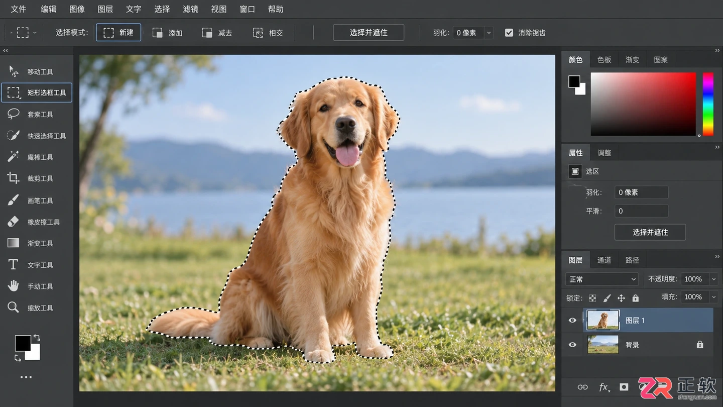 Photoshop选区如何修改?调整范围 大小和边界的方法