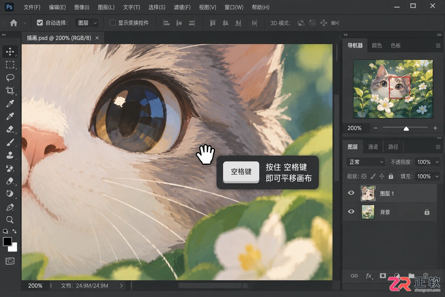 Photoshop快捷键教程大全:PS常用快捷键及使用方法一览
