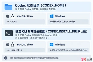 codex安装目录在哪里？默认路径及查找方法
