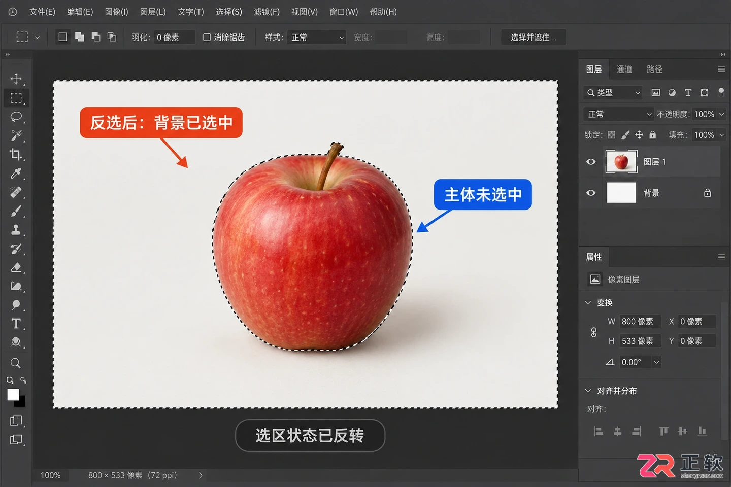 Photoshop选区怎么反选？快捷键与操作方法
