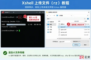 xshell上传文件的方法教程及具体操作步骤