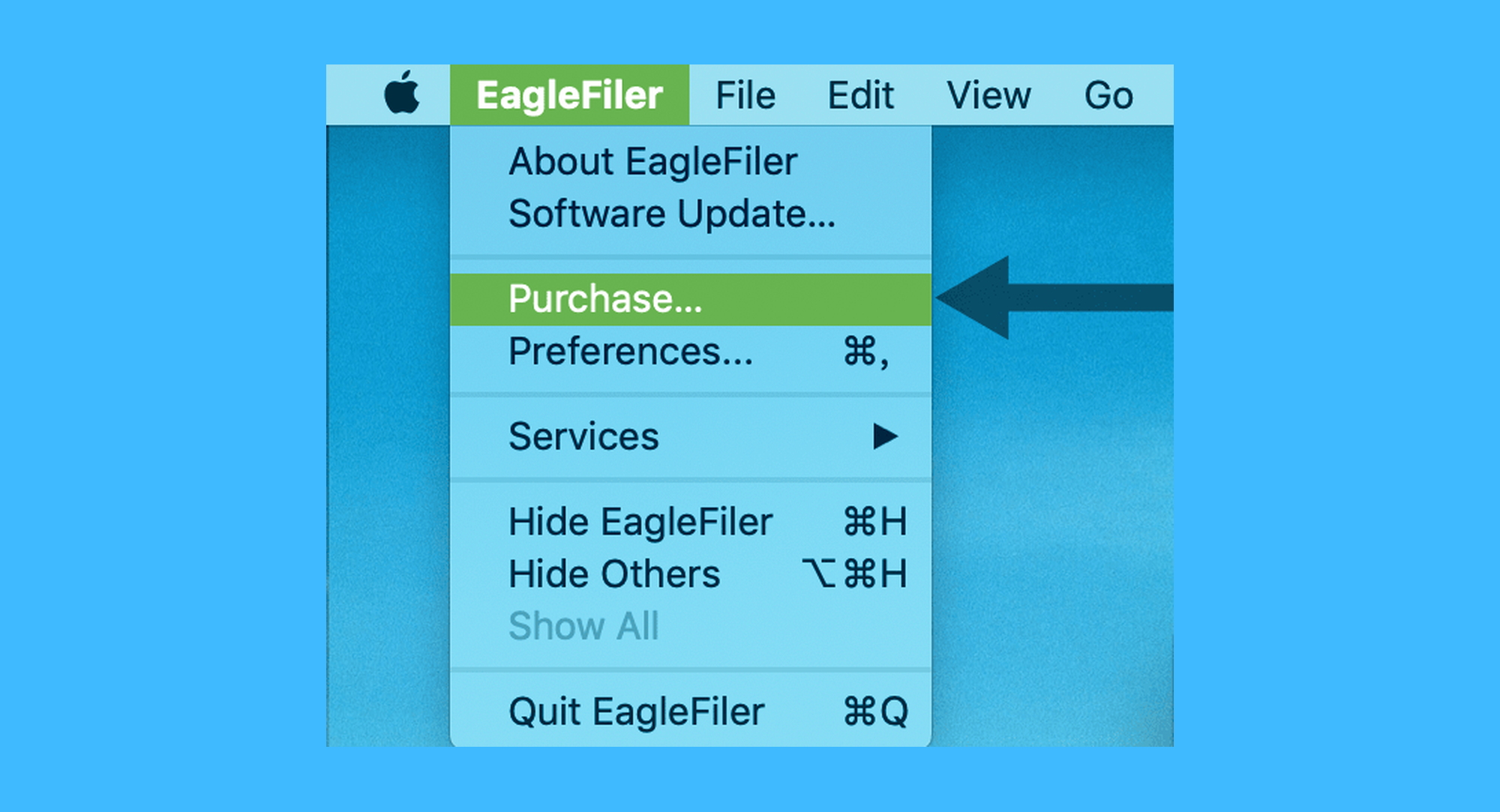 EagleFiler真实操作步骤1：一、运行「EagleFiler」后，依次点击菜单栏「EagleFiler > Purchase」按钮;