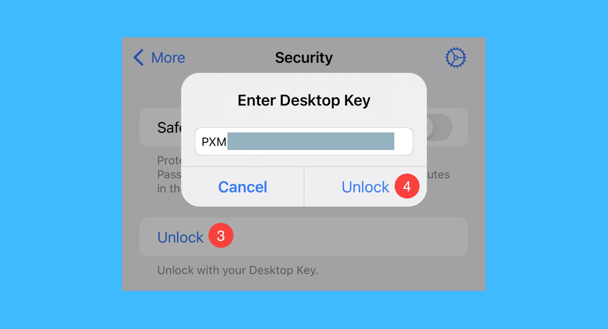 Proxyman真实操作步骤4：二、点击「Unlock」按钮，弹窗中输入激活码，并点击「Unlock」即可激活软件。