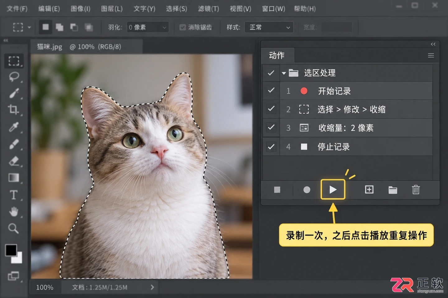 Photoshop选区怎么收缩?缩小一圈与快捷键操作方法