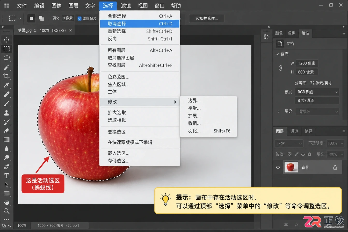 Photoshop选区怎么收缩?缩小一圈与快捷键操作方法