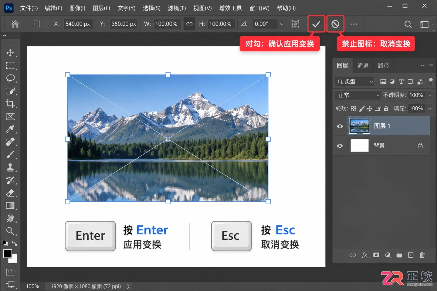 Photoshop调整图层大小快捷键：PS单个图层放大缩小方法