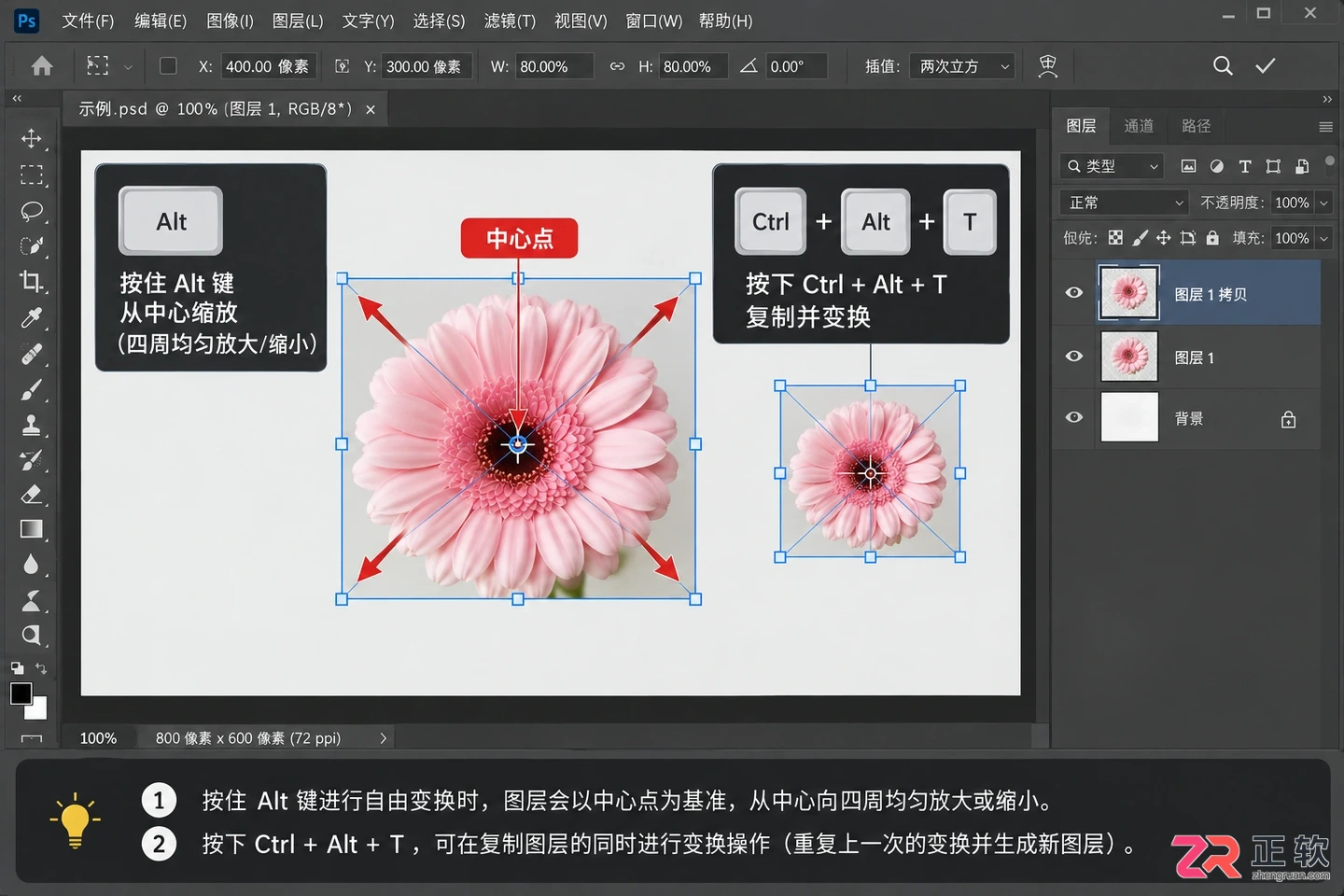 Photoshop调整图层大小快捷键：PS单个图层放大缩小方法