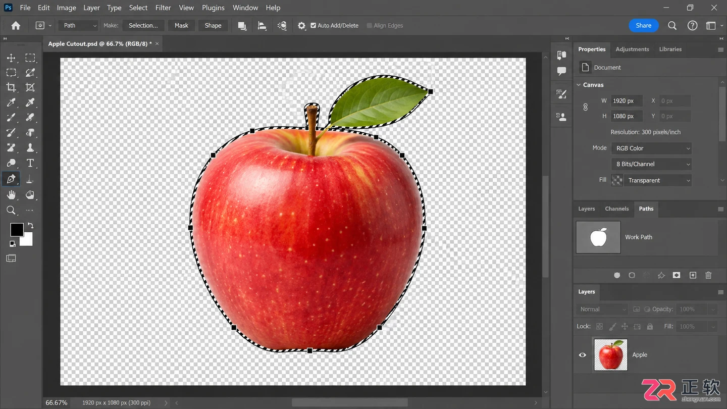 photoshop钢笔工具使用方法