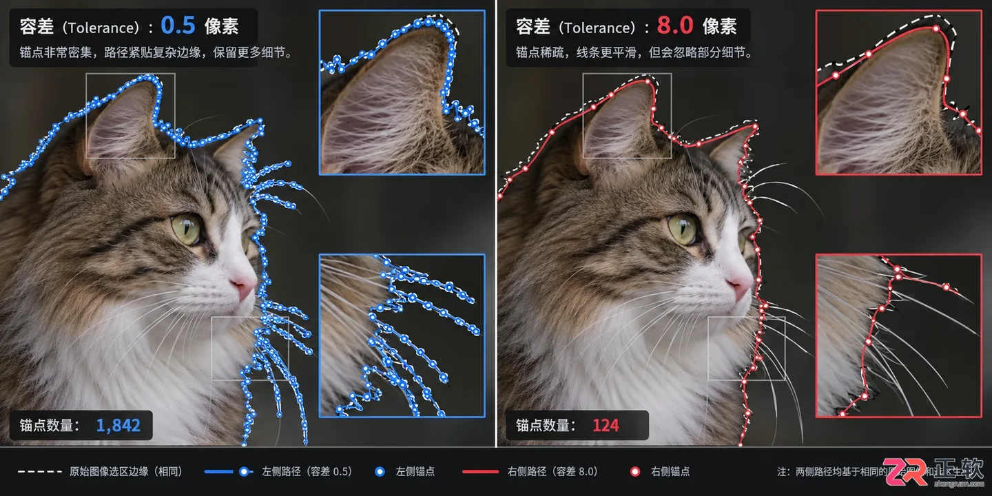 Photoshop选区怎么转路径？操作步骤与误差处理