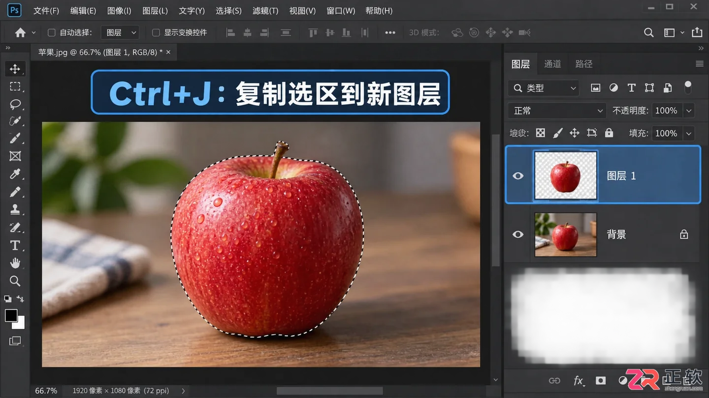 Photoshop选区建立新图层快捷键及操作方法