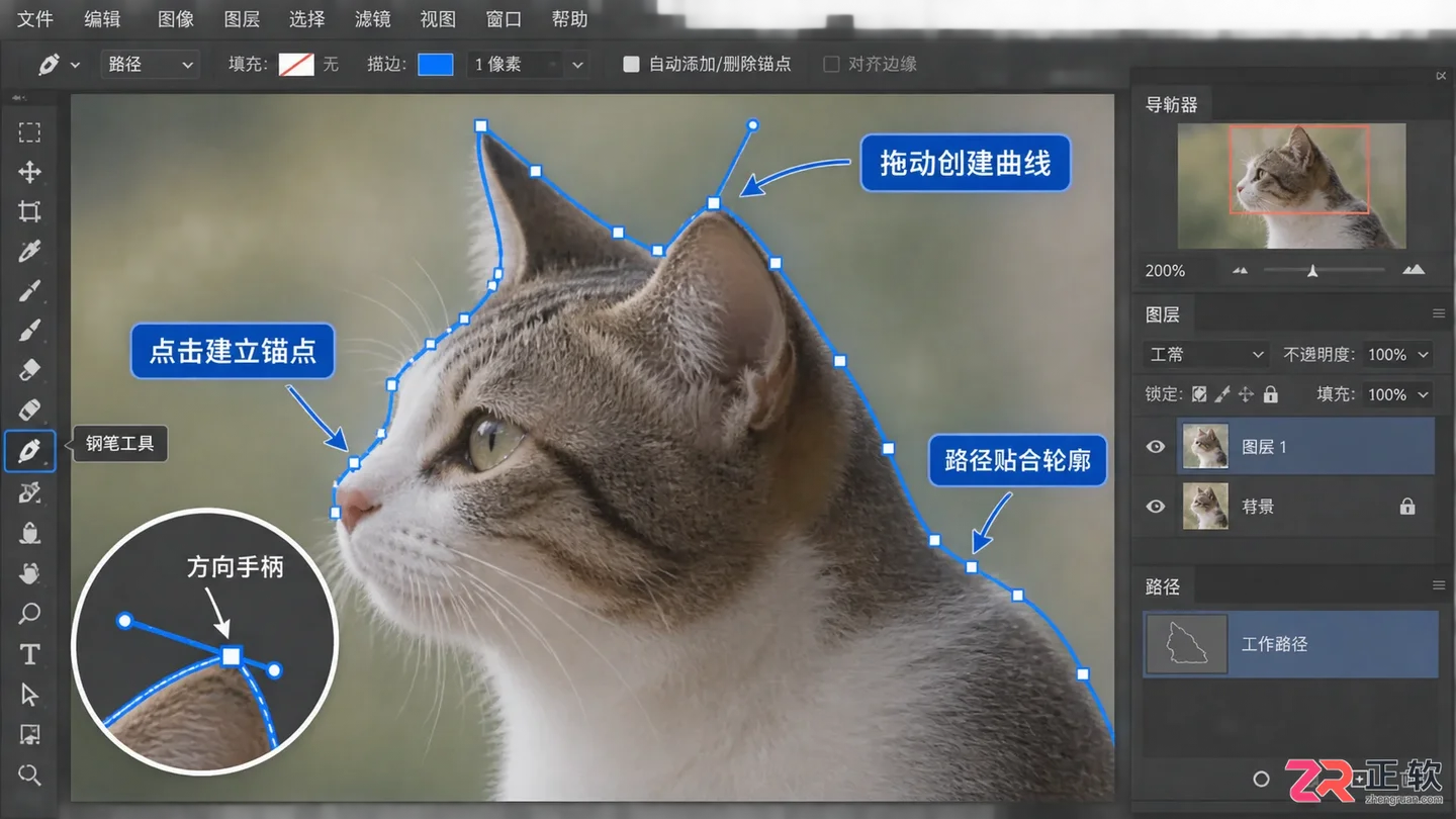 Photoshop利用路径进行精准抠图的步骤
