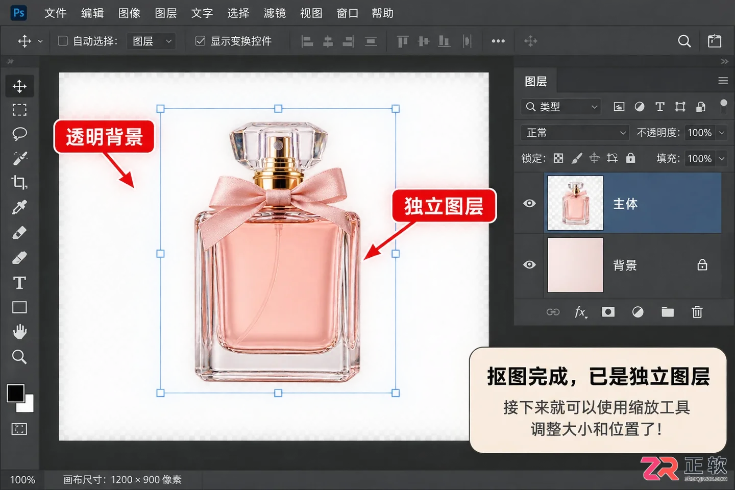 Photoshop抠图后如何调整大小和位置及放大缩小快捷键方法