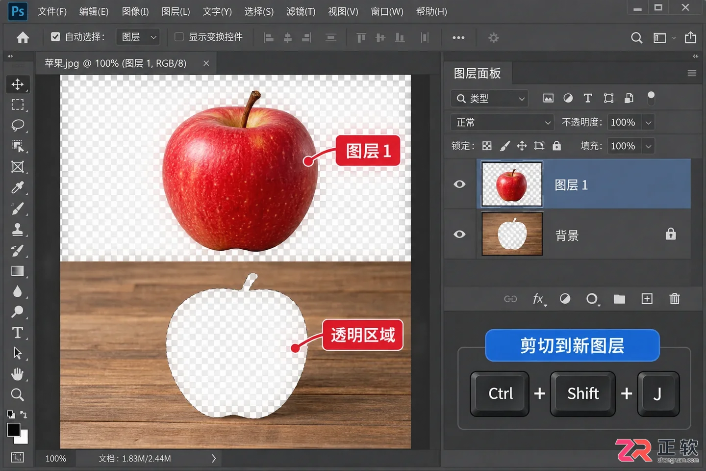 Photoshop选区建立新图层快捷键及操作方法