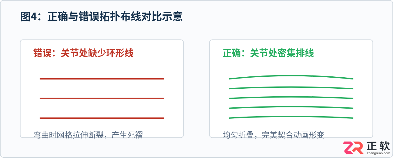 3ds Max角色建模拓扑规范：人体布线原则与肌肉走向