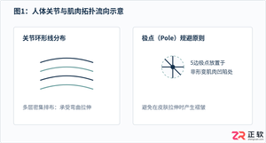 3ds Max角色建模拓扑规范:人体布线原则与肌肉走向