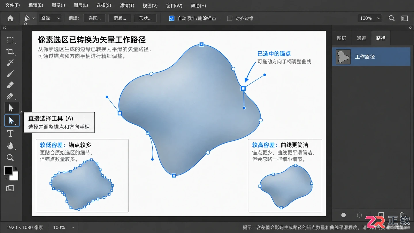 Photoshop选区怎么变成路径?操作步骤与精度调整方法