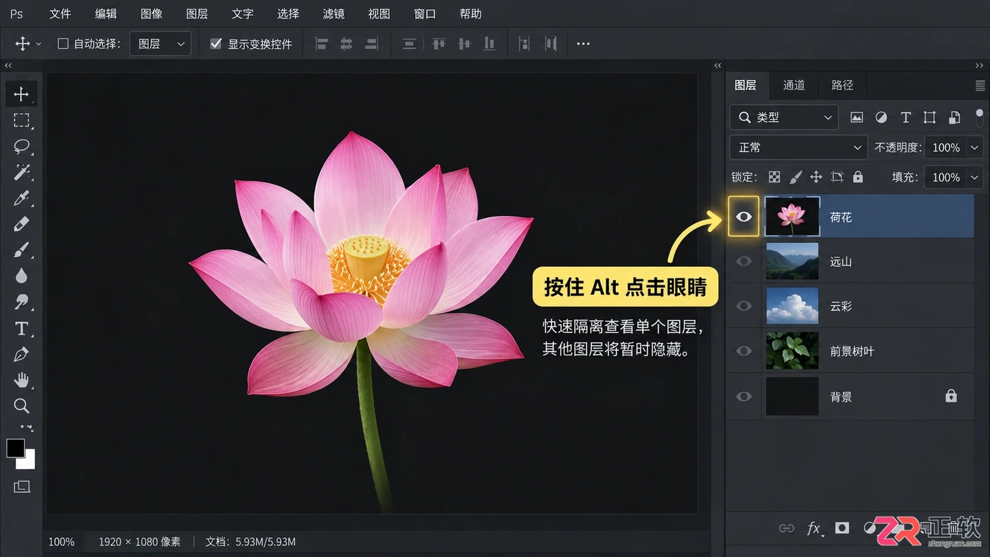 Photoshop图层管理教程:图层面板 整理技巧与快捷键详解