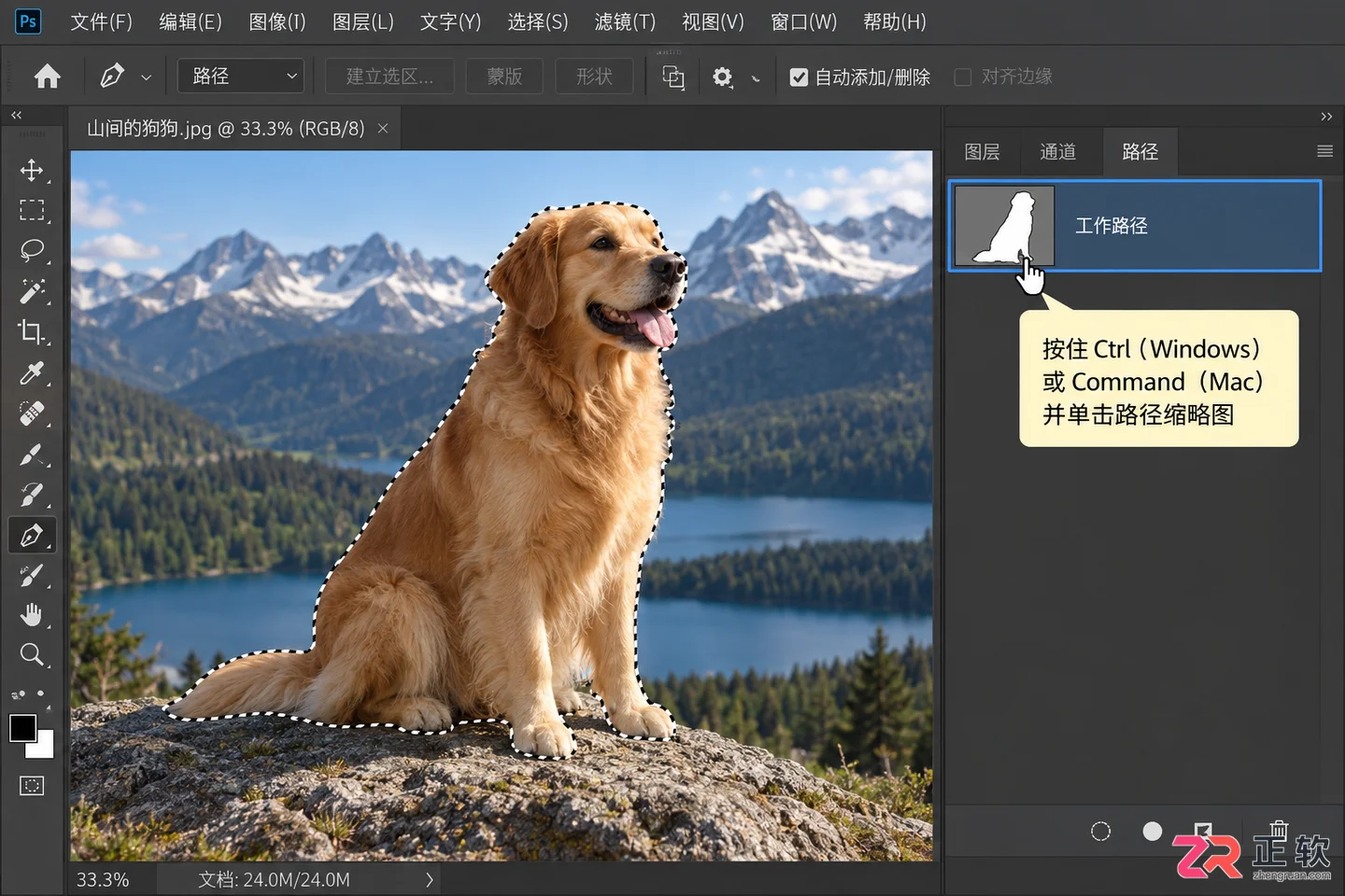 photoshop路径变选区快捷键