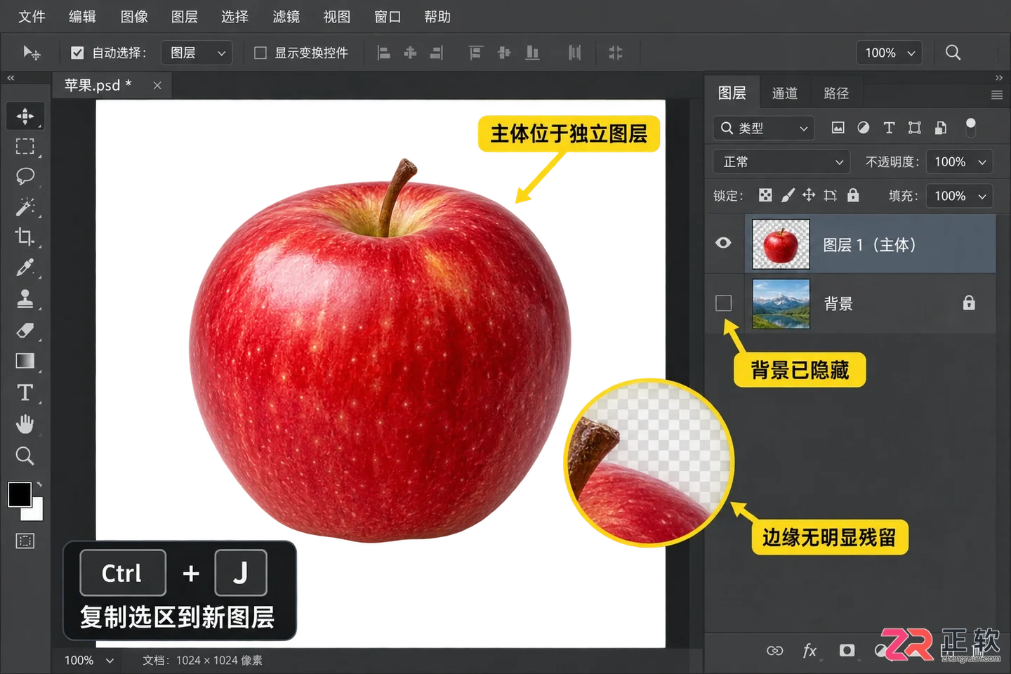 Photoshop选区工具怎么用？常用工具与快捷键详解