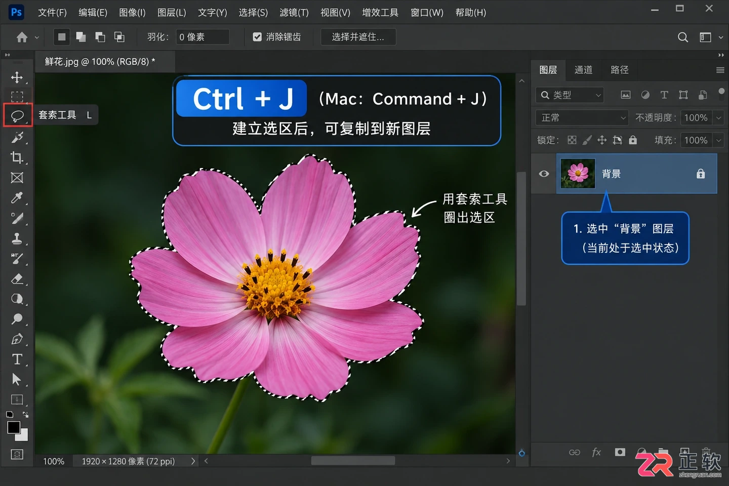 Photoshop选区怎么复制粘贴?快捷键与移动方法