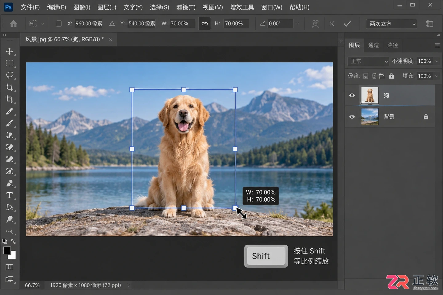 Photoshop抠图放到另一张图怎么操作并自由调整大小位置