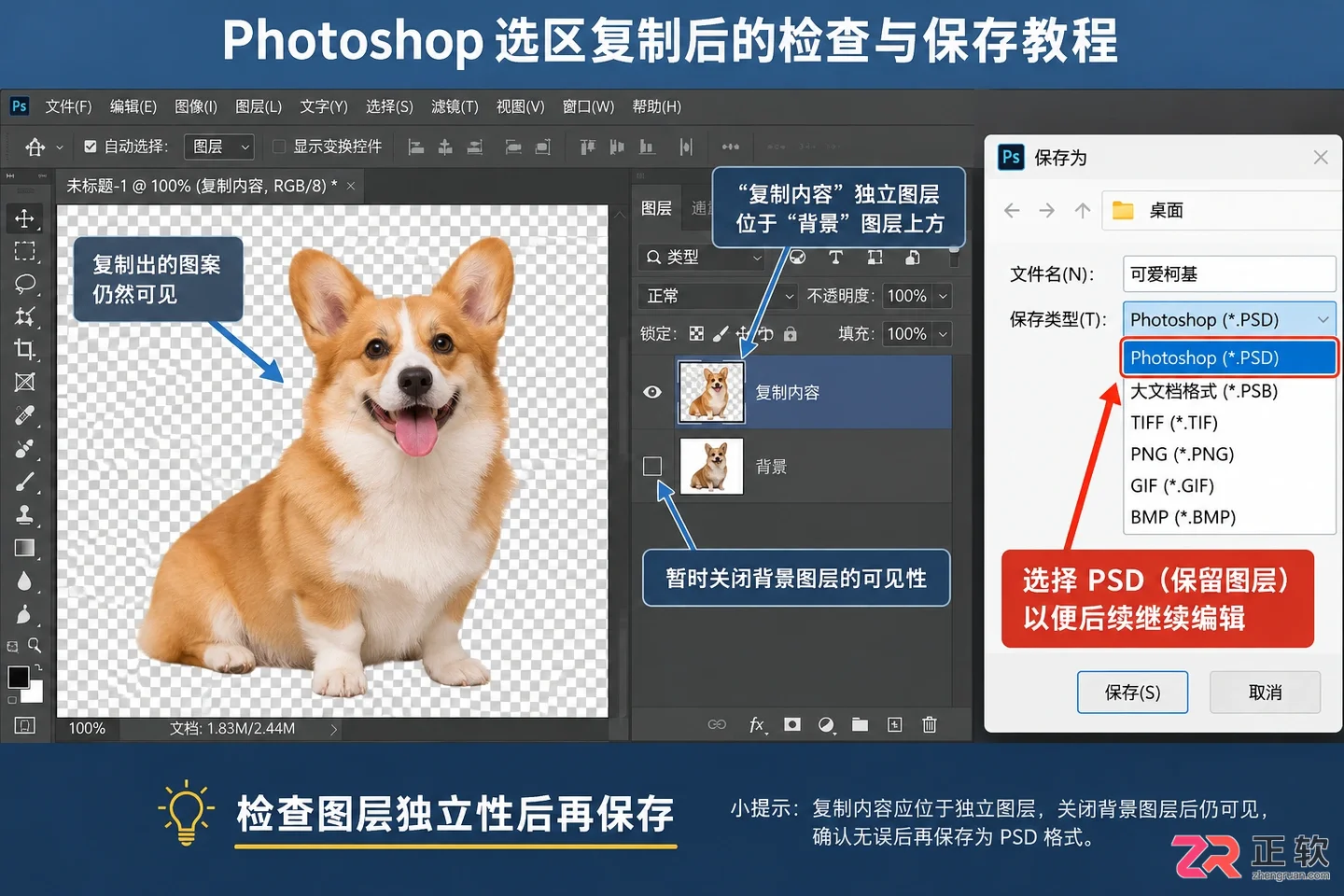 Photoshop选区怎么复制粘贴?快捷键与移动方法