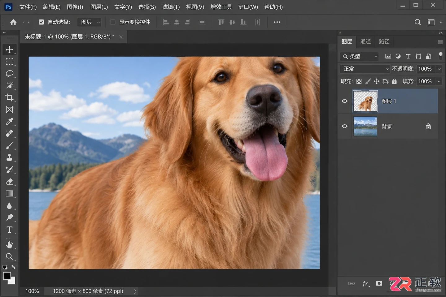 Photoshop抠图放到另一张图怎么操作并自由调整大小位置
