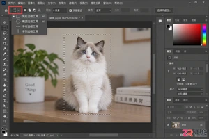 Photoshop选区的基本操作：建立 调整与取消选区