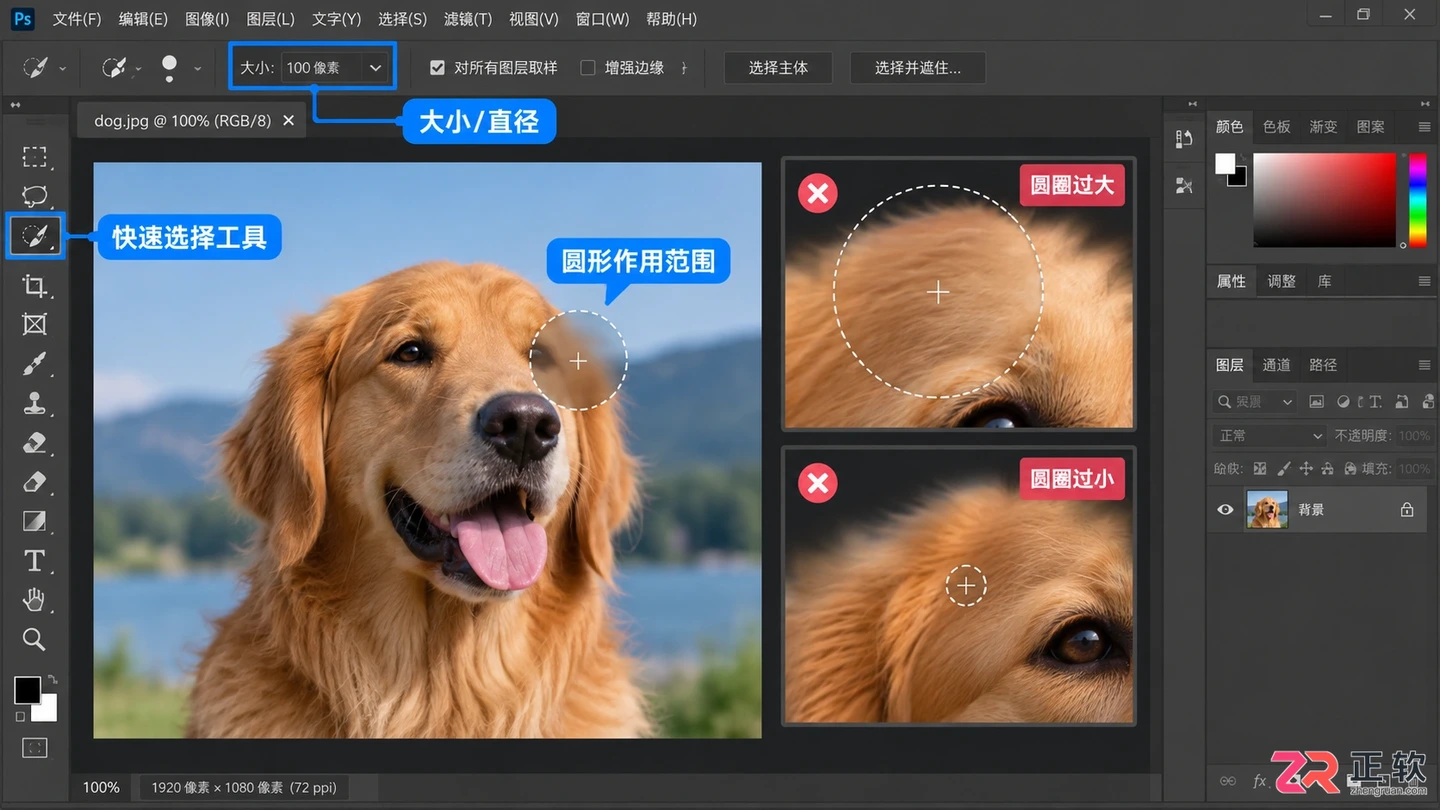 Photoshop选区画笔工具怎么调节圆形大小？快捷键与设置方法