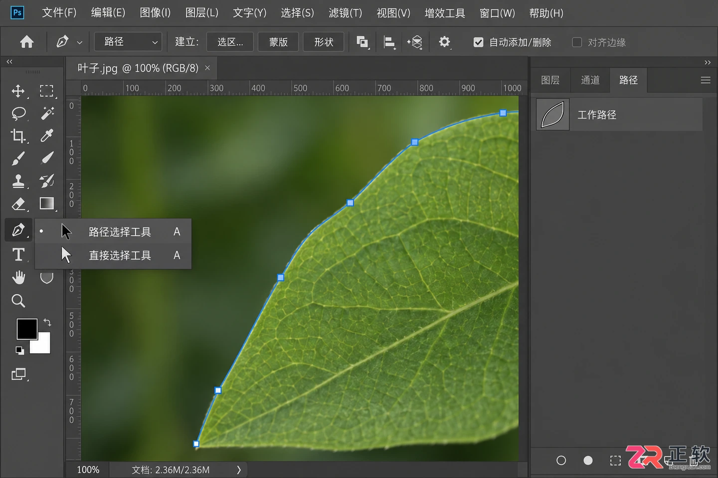 Photoshop 路径选择工具 在哪